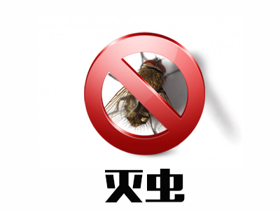 滅蠅服務